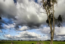 范加尔曾如何解读阿根廷足球？他的战术思维与阿根廷足球有怎样的化学反应？