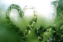 今日CCTV5有NBA比赛直播吗？精彩赛事与观看指南看这里